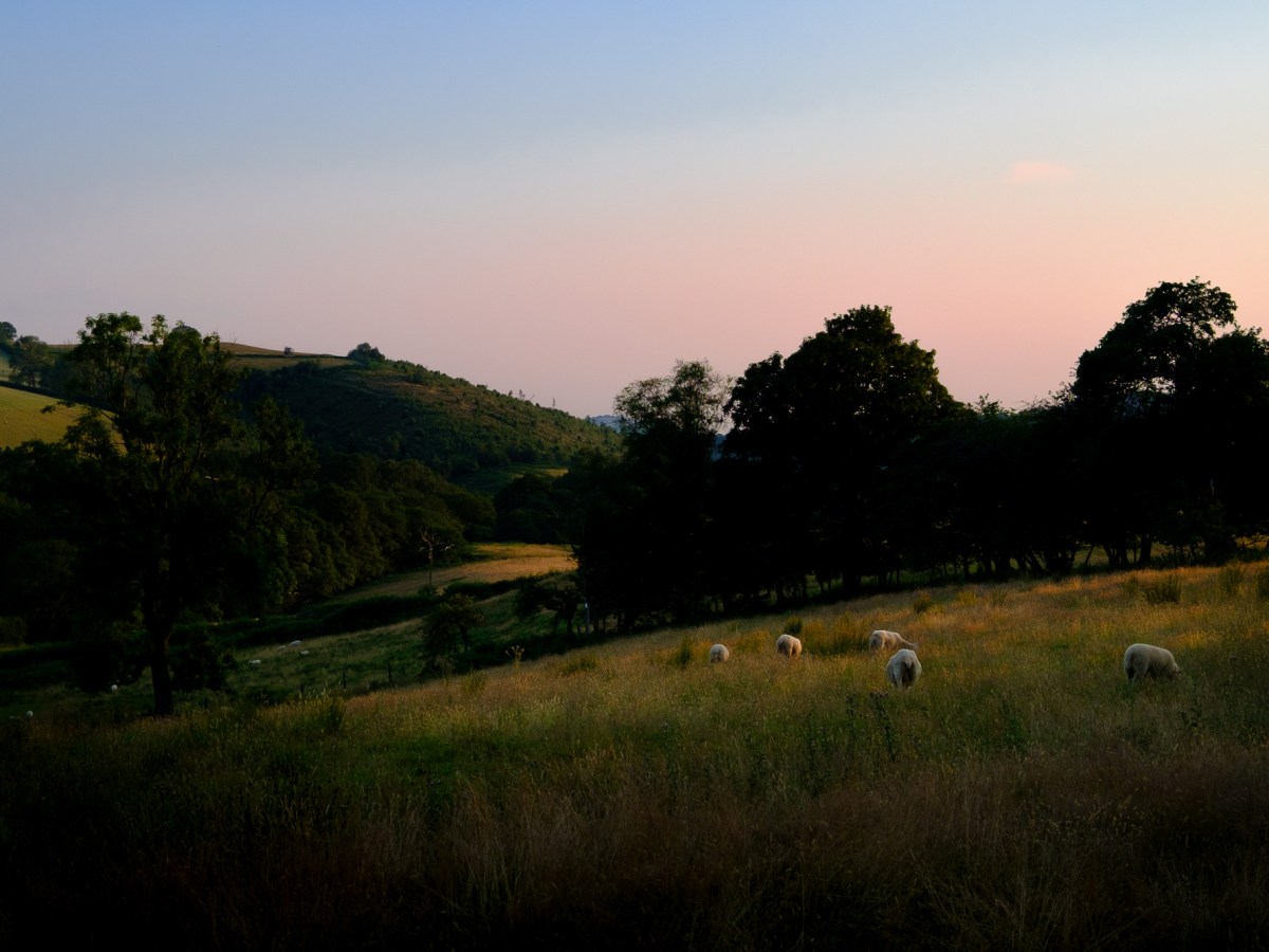 Providence and Psalm&nbsp;23