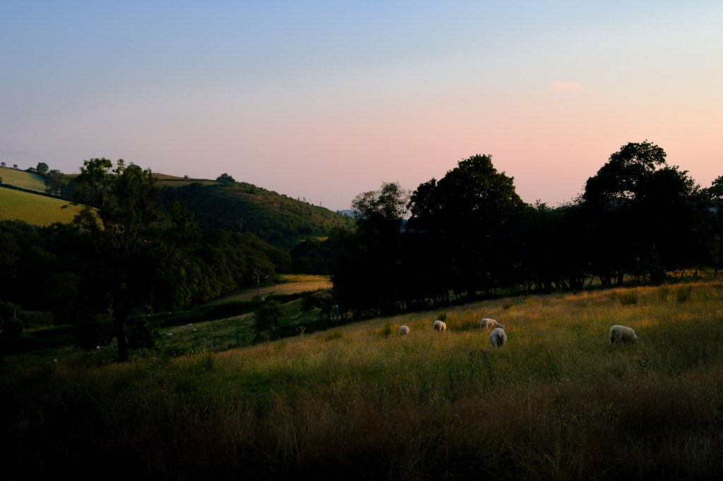 Providence and Psalm&nbsp;23